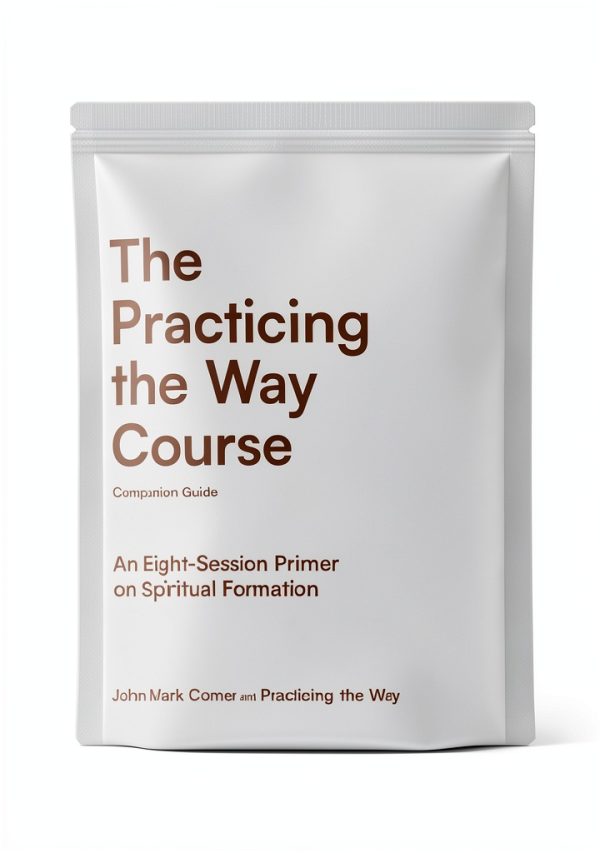 Christian Discipleship eBook Practicing the Way WaterBrook with XRay-0